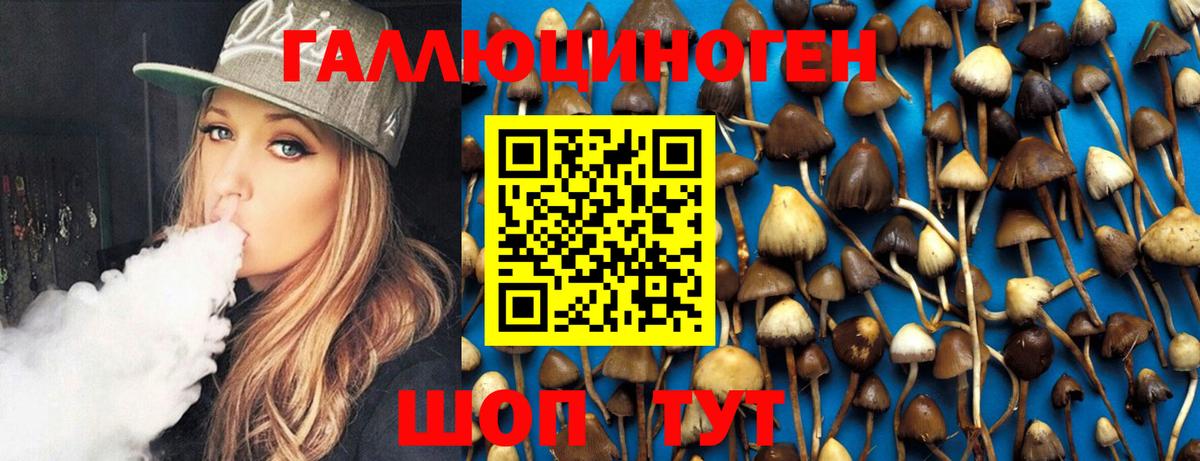 Псилоцибиновые грибы MAGIC MUSHROOMS Карабулак