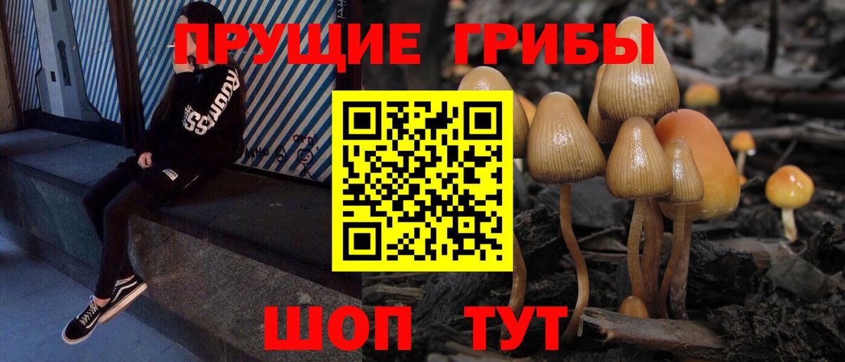 Галлюциногенные грибы мухоморы  Вход с VPN  Галлюциногенные грибы прущие грибы  закладки  Карабулак 